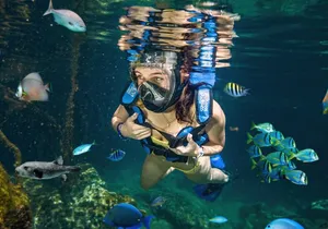 Xel-Ha Tickets with Transportation included