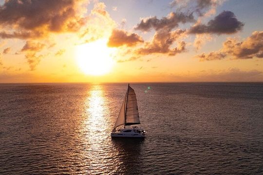 Riviera Maya Luxury Sunset Sailing plus Light Dinner and Open Bar