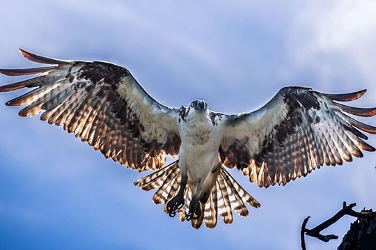 Sian Ka'an Adventure Full Day Trip to Punta Allen