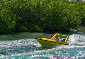 Jungle Tour with Snorkel in Cancun