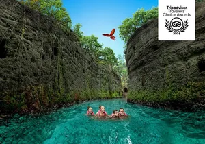 Xcaret Park Entry Tickets with Cultural Night Show Included