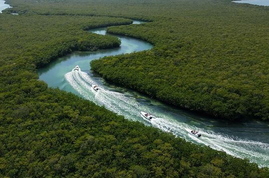 Reef Snorkeling & Jungle Speedboat Adventure with Mayan Ceremony