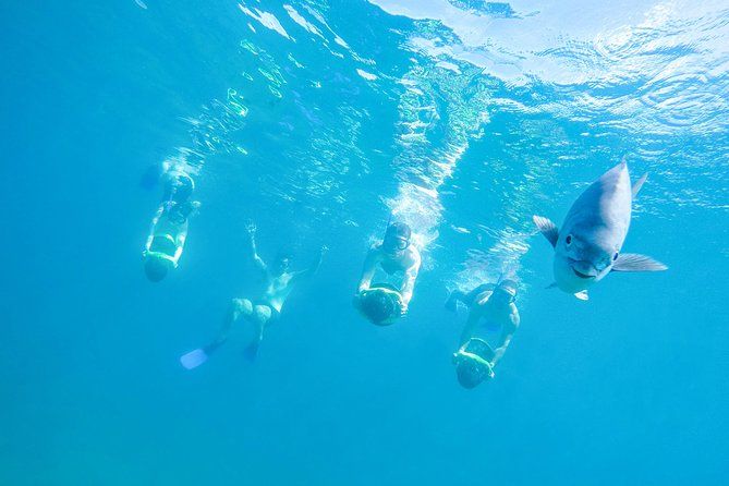 Los Cabos Power Snorkel Adventure, Kayaking and Stand-Up Paddle