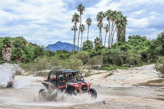 OffRoad 4X4 UTV Adventure with unlimited Lunch & Tequila