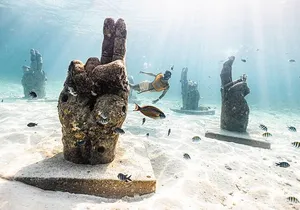 With Turtles, Shipwreck, Cenote, and Reef and Transport Included