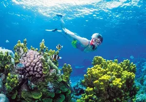 Snorkel, ATV, Zipline and Cenote Adventure from Cancun