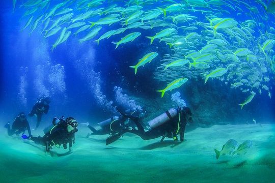 Learn to Scuba Dive in Cabo San Lucas with PADI
