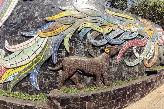 6 Hour Fun-Filled Tour Perfect for Cruise Travelers & Hotel Stays