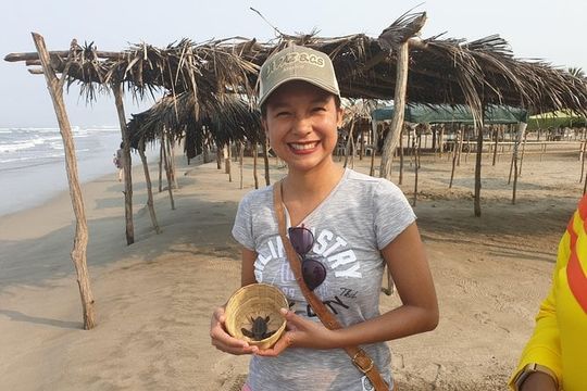 6 Hour Fun-Filled Tour Perfect for Cruise Travelers & Hotel Stays