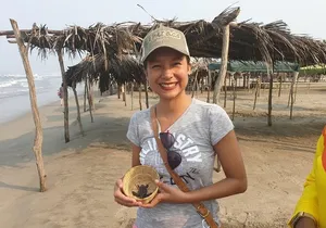 6 Hour Fun-Filled Tour Perfect for Cruise Travelers & Hotel Stays