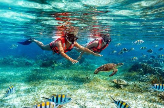 Reef Snorkeling in National Park from Cancun with Beachside Lunch