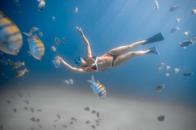 Los Cabos Snorkeling Tour to Chileno Bay and Santa Maria Cove