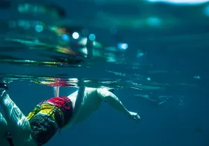 Los Cabos Snorkeling Tour to Chileno Bay and Santa Maria Cove