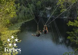 4-in-1 Cenote Tour Guided Experience with Breakfast, Lunch & Wine