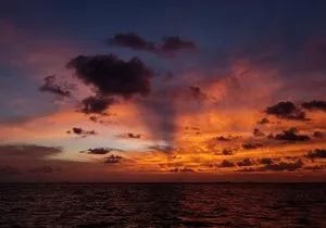 Sunset Sail in Miami: Complimentary Champagne Toast