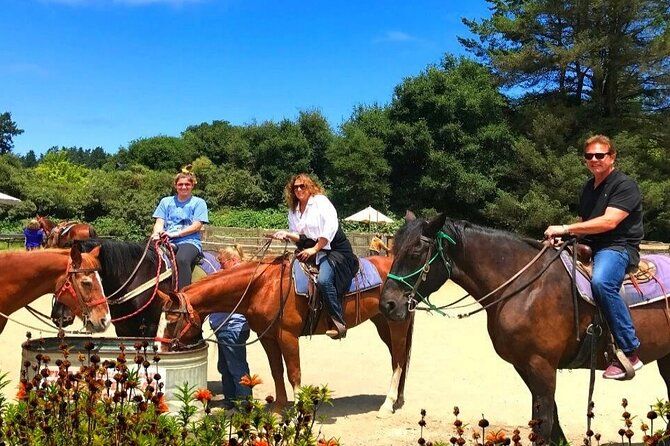 Private Horseback Riding and Muir Woods Adventure from San Francisco