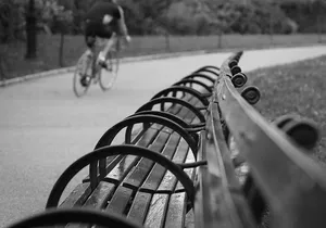 Best of Central Park Bike Tour