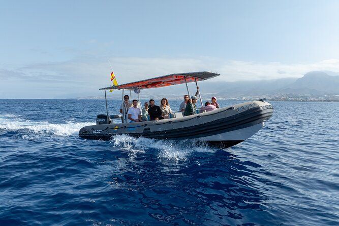 Private 2 hour Whale Watching Tour