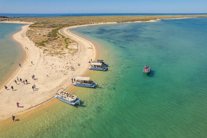 Ilha Deserta and Farol Island: a small group boat trip in Ria Formosa from Faro