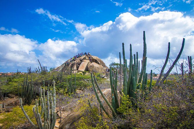 Aruba Island Sightseeing Tour Plus Arashi Beach Visit