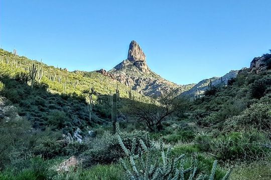 Phoenix Wilderness Hiking Tours
