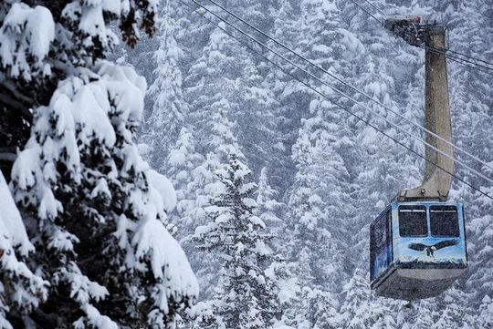 Winter - Alaska Wildlife Center with Alyeska Tram