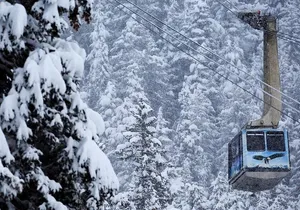 Winter - Alaska Wildlife Center with Alyeska Tram