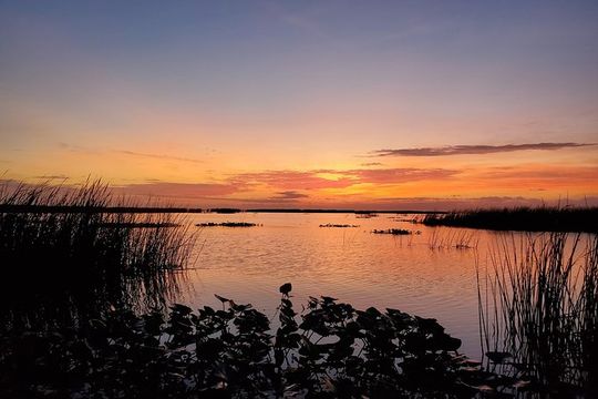 Private Lake Istokpoga Bass Fishing Charter in Sebring