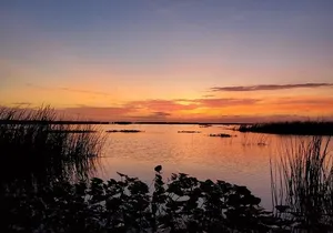 Private Lake Istokpoga Bass Fishing Charter in Sebring