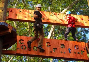 Aerial Challenge Course