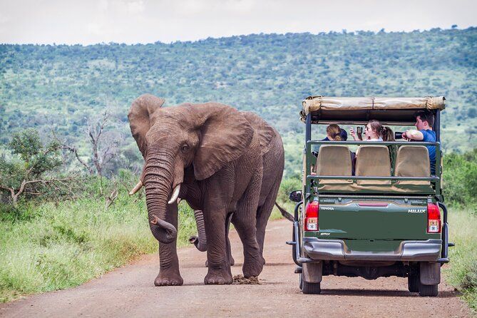 Full Day Exquisite Pilanesberg Safari from Johannesburg