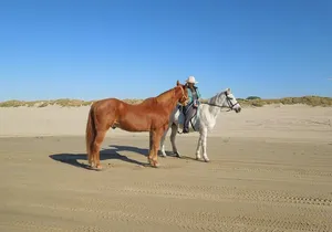 Horseback Ride on the Beach & Alcatraz Tour in San Francisco