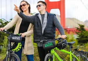 The Best of San Francisco eBike Tour