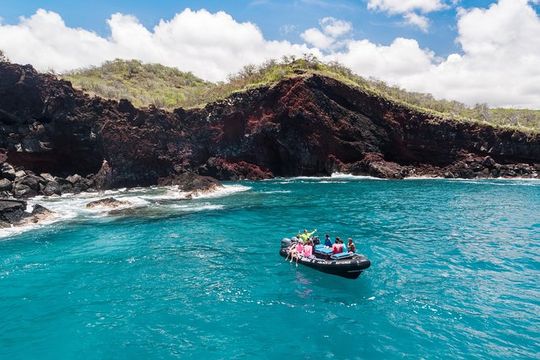 Kona Snorkeling: Beat the Crowd to Kealakekua Bay