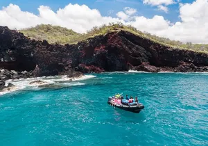 Kona Snorkeling: Beat the Crowd to Kealakekua Bay