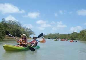 Guided Kayak Eco Tour - Bunche Beach