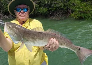 1/2 Day Afternoon Charter Fishing Naples Marco Island Sanibel