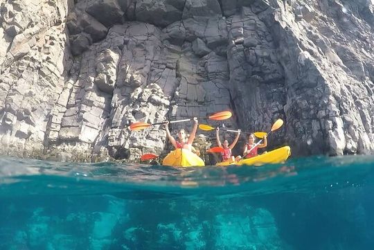 Kayak Safari with Dolphin and Turtle Watching from Los Cristianos