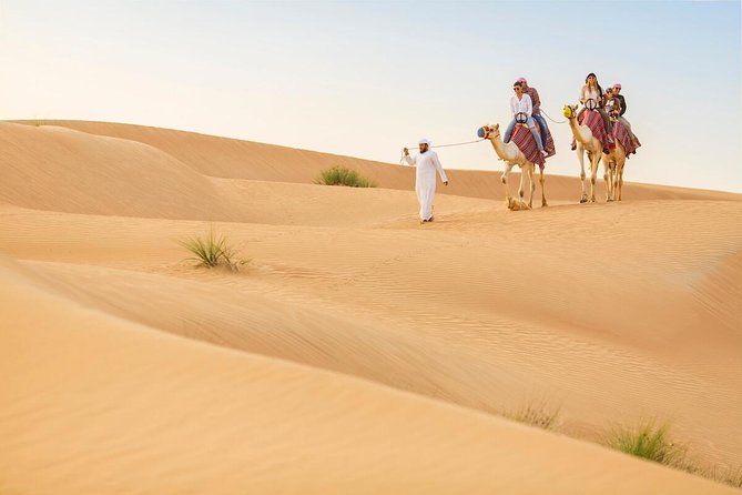 Premium Red Dunes Safari and Camel Safari with BBQ Dinner