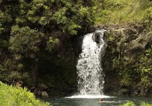 Waterfall and Rainforest Adventure