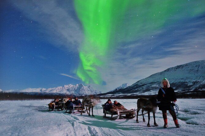 Sámi Reindeer Sledding & Feeding with Chance of Northern Lights