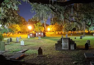 Bad Kitty Haunted Savannah Pub Crawl - Spooky, naughty ghosts