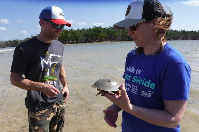 10,000 Islands Excursion 3.5 hour Dolphin & Shelling Boat Tour