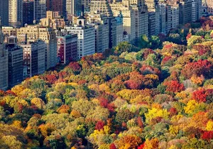 Private Hudson Valley Fall Foliage Helicopter Charter from Manhattan