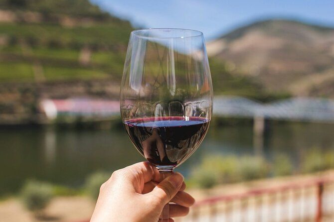 Douro Three Winery Small Group Tour with Lunch and Tastings
