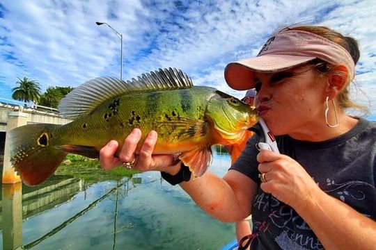 Peacock Bass Fishing Trip near Miami South Beach