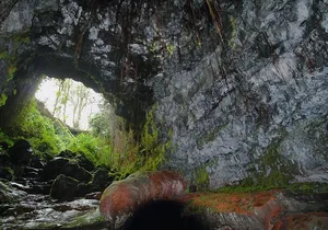 Hilo Shore Excursion: Volcano Safari Lava Caves, Falls and More