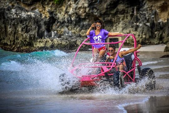 Punta Cana Snorkeling Cruise and Dune buggy Combo Adventure