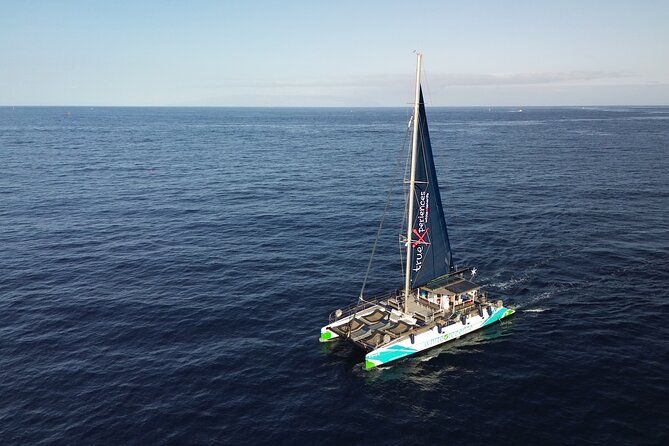 Whale Watching and Listening Eco Catamaran Tour with Food Tasting
