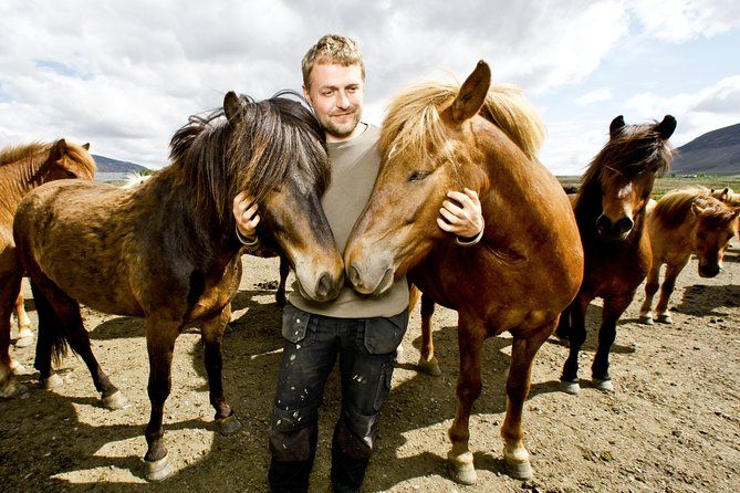 Icelandic Horseback Riding Tour Including Pick Up from Reykjavik